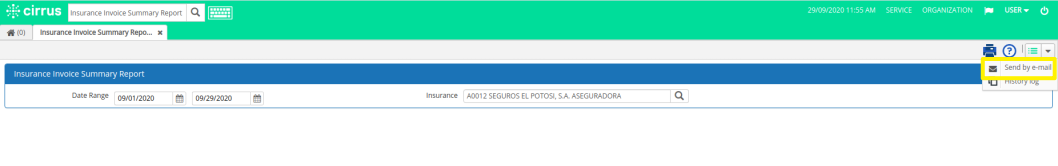 invoicesummary1.png
