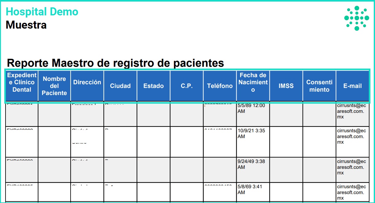 reportemaestroregistro4.jpg
